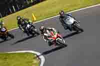 cadwell-no-limits-trackday;cadwell-park;cadwell-park-photographs;cadwell-trackday-photographs;enduro-digital-images;event-digital-images;eventdigitalimages;no-limits-trackdays;peter-wileman-photography;racing-digital-images;trackday-digital-images;trackday-photos